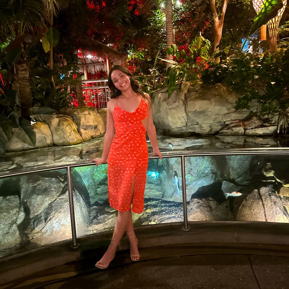 Meet your Posher, Sydney